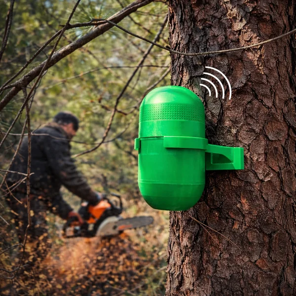 DODO EchoGuard - Acoustic monitoring sensor for illegal logging and wildlife detection